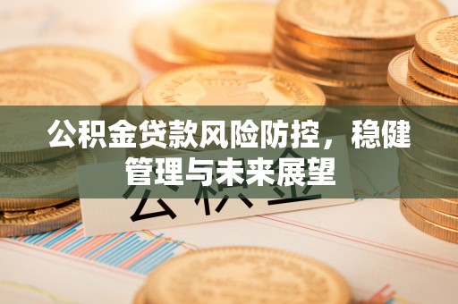 天元公积金贷款风险防控，稳健管理与未来展望