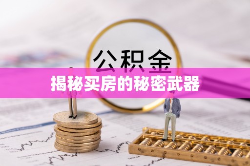 天元揭秘买房的秘密武器