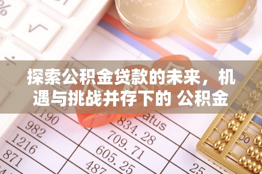 天元探索公积金贷款的未来，机遇与挑战并存下的 公积金贷款风险防控