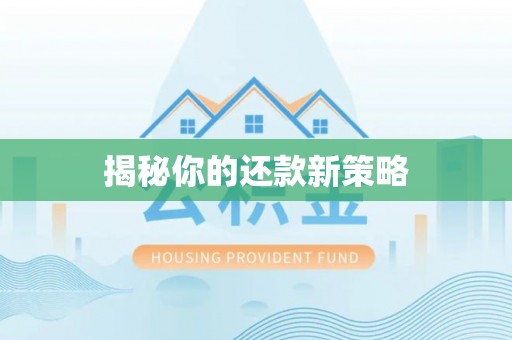 天元揭秘你的还款新策略