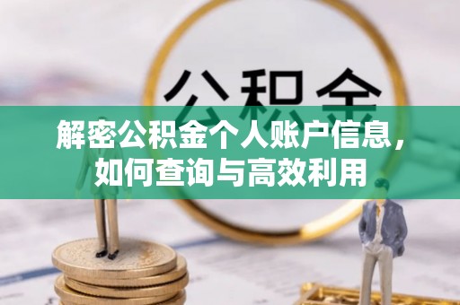 天元解密公积金个人账户信息，如何查询与高效利用