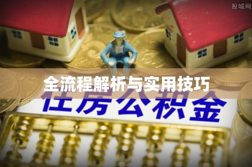 天元全流程解析与实用技巧