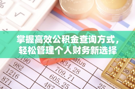 天元掌握高效公积金查询方式，轻松管理个人财务新选择