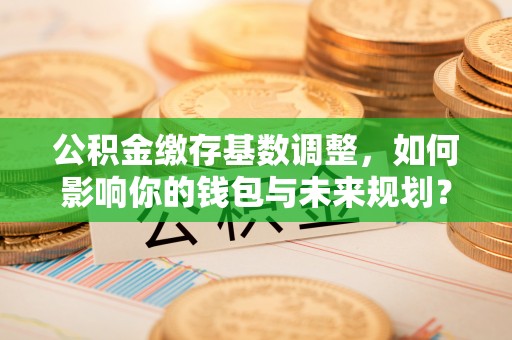 天元公积金缴存基数调整，如何影响你的钱包与未来规划？