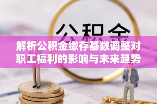 天元解析公积金缴存基数调整对职工福利的影响与未来趋势