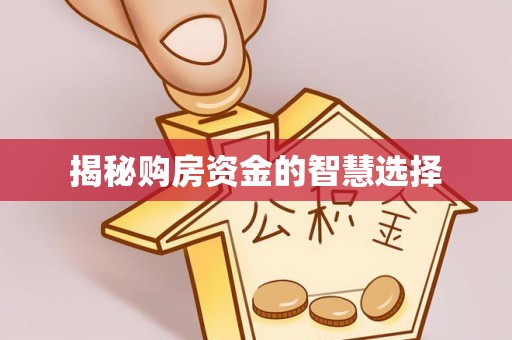 天元揭秘购房资金的智慧选择
