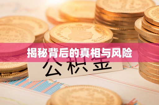 天元揭秘背后的真相与风险