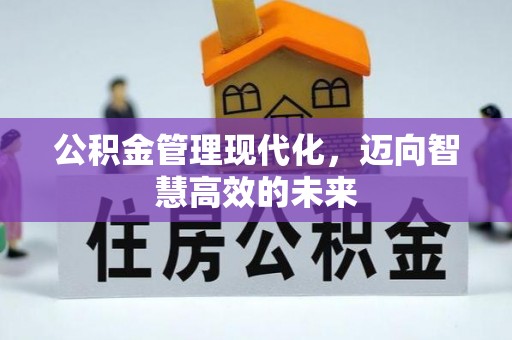 天元公积金管理现代化，迈向智慧高效的未来
