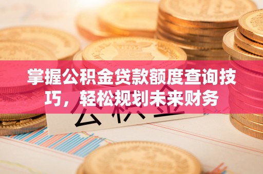 天元掌握公积金贷款额度查询技巧，轻松规划未来财务