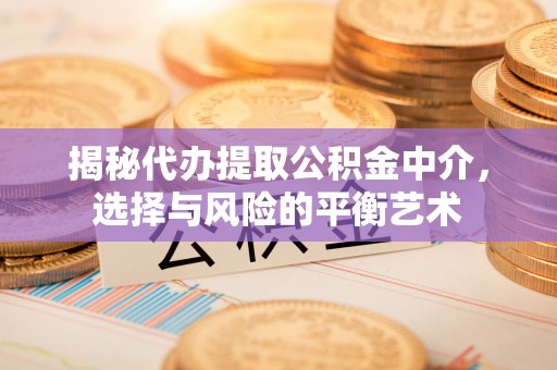 天元揭秘代办提取公积金中介，选择与风险的平衡艺术