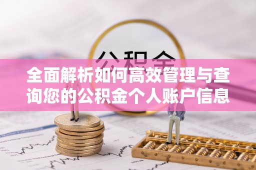 天元全面解析如何高效管理与查询您的公积金个人账户信息