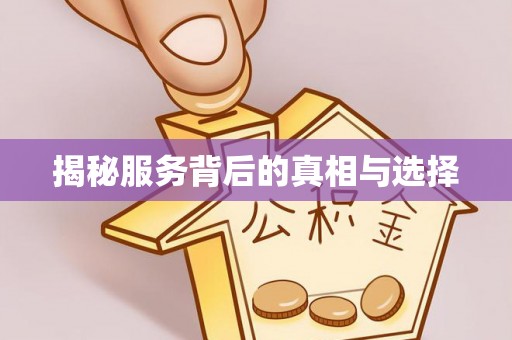 天元揭秘服务背后的真相与选择