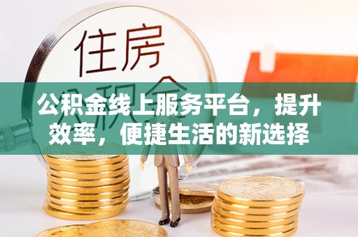 天元公积金线上服务平台，提升效率，便捷生活的新选择