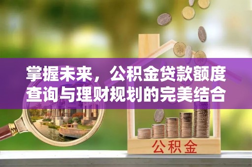 天元掌握未来，公积金贷款额度查询与理财规划的完美结合
