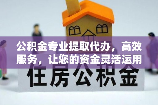天元公积金专业提取代办，高效服务，让您的资金灵活运用