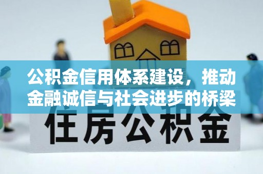 天元公积金信用体系建设，推动金融诚信与社会进步的桥梁