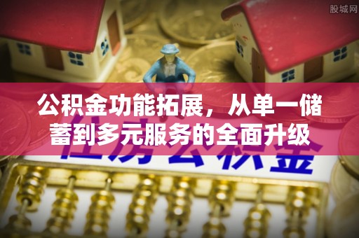 天元公积金功能拓展，从单一储蓄到多元服务的全面升级