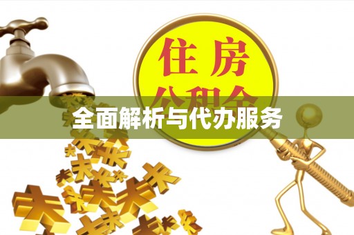 天元全面解析与代办服务
