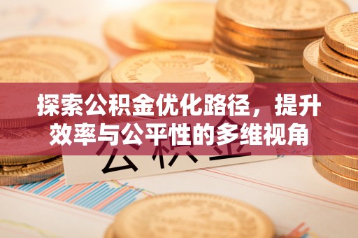 天元探索公积金优化路径，提升效率与公平性的多维视角