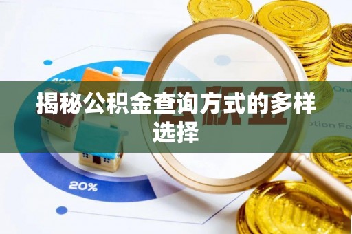 天元揭秘公积金查询方式的多样选择