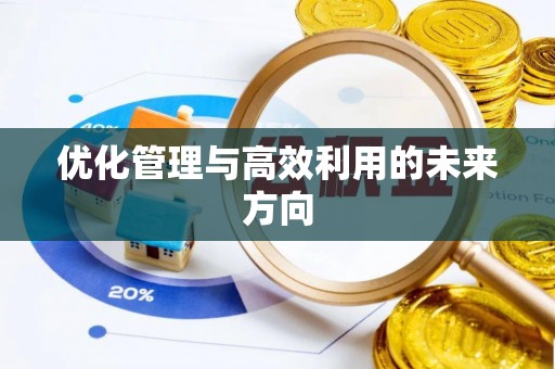 天元优化管理与高效利用的未来方向
