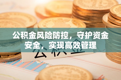 天元公积金风险防控，守护资金安全，实现高效管理