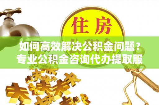 天元如何高效解决公积金问题？专业公积金咨询代办提取服务来帮你
