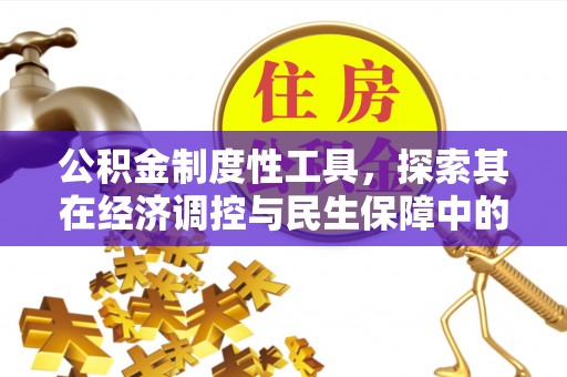 天元公积金制度性工具，探索其在经济调控与民生保障中的重要作用