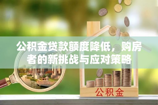 天元公积金贷款额度降低，购房者的新挑战与应对策略