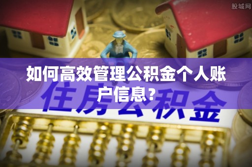 天元如何高效管理公积金个人账户信息？