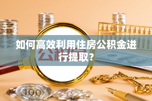 天元如何高效利用住房公积金进行提取？
