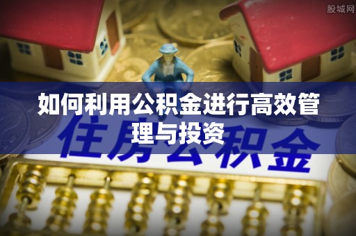 天元如何利用公积金进行高效管理与投资