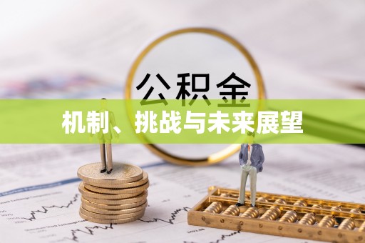 天元机制、挑战与未来展望