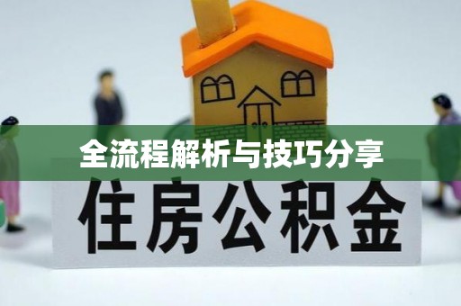 天元全流程解析与技巧分享